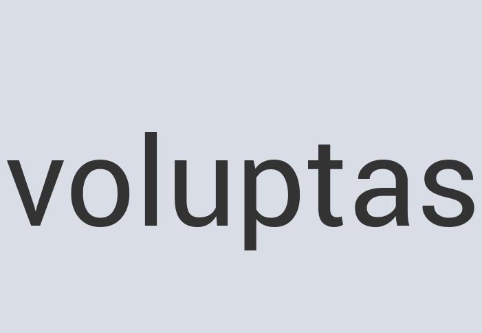 Durable Bronze Bag It!