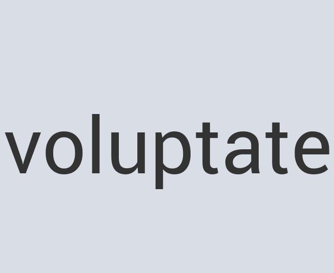 Ergonomic Marble Pickin’ & Lickin’ Chicken