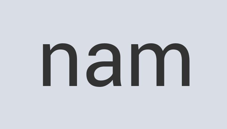 Awesome Granite Pork Chopsticks